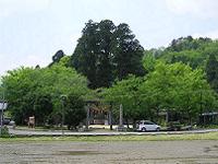 マウスクリックで拡大/縮小します