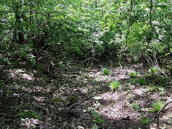 マウスクリックで拡大/縮小します