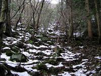 マウスクリックで拡大/縮小します