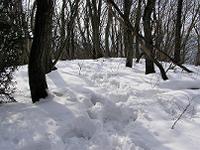 マウスクリックで拡大/縮小します