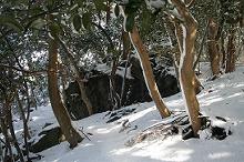 マウスクリックで拡大/縮小します