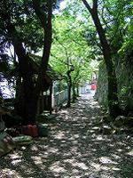 マウスクリックで拡大/縮小します