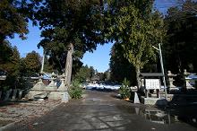 マウスクリックで拡大/縮小します