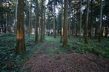 マウスクリックで拡大/縮小します