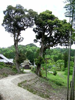 マウスクリックで拡大/縮小します