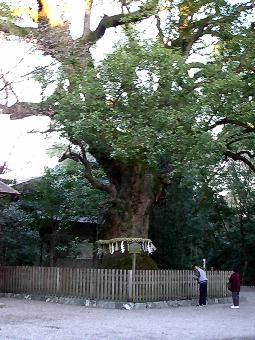 マウスクリックで拡大/縮小します