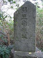 マウスクリックで拡大/縮小します