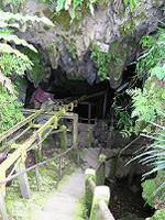 マウスクリックで拡大/縮小します