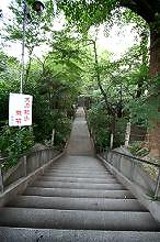 マウスクリックで拡大/縮小します