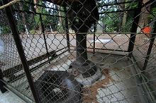 マウスクリックで拡大/縮小します