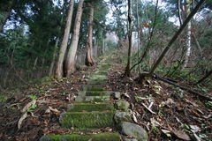 マウスクリックで拡大/縮小します