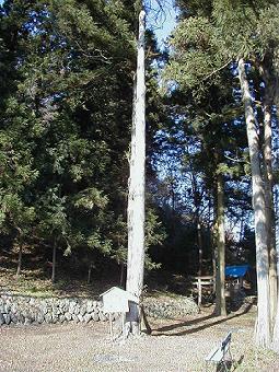 マウスクリックで拡大/縮小します