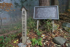 マウスクリックで拡大/縮小します