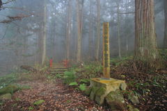 マウスクリックで拡大/縮小します