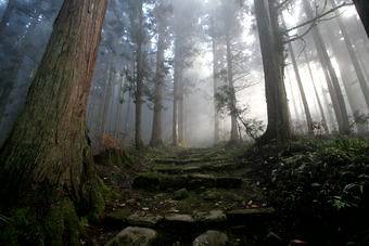 マウスクリックで拡大/縮小します