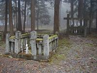 マウスクリックで拡大/縮小します