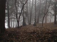 マウスクリックで拡大/縮小します