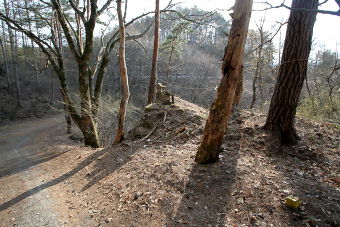 マウスクリックで拡大/縮小します