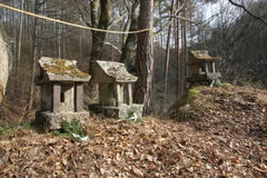 マウスクリックで拡大/縮小します