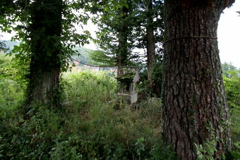 マウスクリックで拡大/縮小します