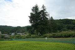 マウスクリックで拡大/縮小します