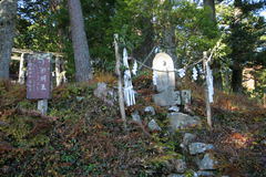 マウスクリックで拡大/縮小します