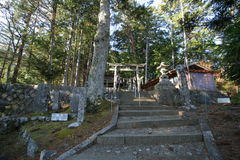 マウスクリックで拡大/縮小します