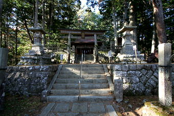 マウスクリックで拡大/縮小します