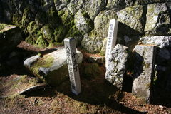 マウスクリックで拡大/縮小します