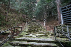 マウスクリックで拡大/縮小します