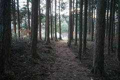 マウスクリックで拡大/縮小します