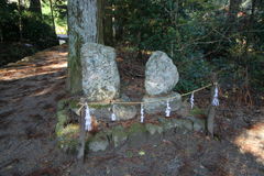 マウスクリックで拡大/縮小します