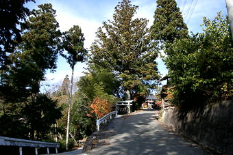 マウスクリックで拡大/縮小します