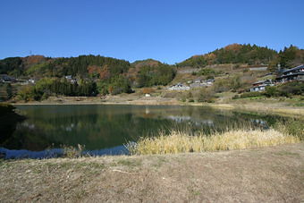 マウスクリックで拡大/縮小します