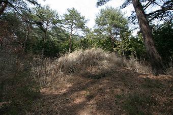 マウスクリックで拡大/縮小します