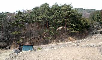 マウスクリックで拡大/縮小します