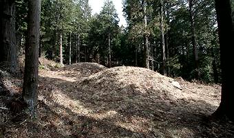 マウスクリックで拡大/縮小します