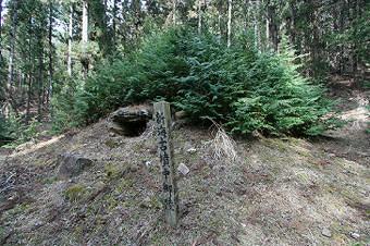 マウスクリックで拡大/縮小します