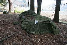 マウスクリックで拡大/縮小します