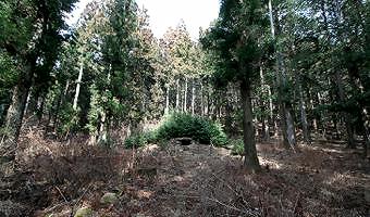 マウスクリックで拡大/縮小します