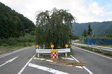 マウスクリックで拡大/縮小します