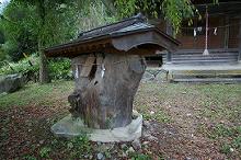 マウスクリックで拡大/縮小します