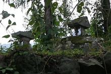 マウスクリックで拡大/縮小します