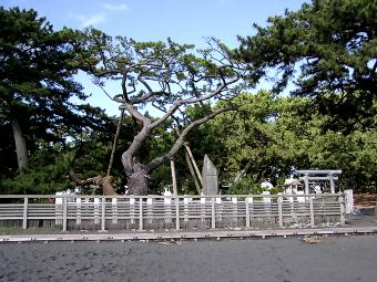 マウスクリックで拡大/縮小します