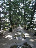 マウスクリックで拡大/縮小します