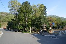 マウスクリックで拡大/縮小します