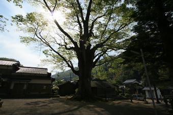 マウスクリックで拡大/縮小します