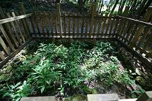 マウスクリックで拡大/縮小します