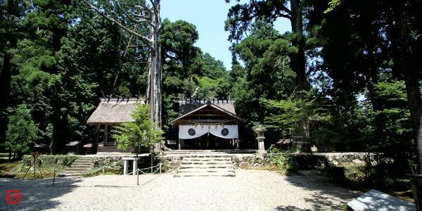 マウスクリックで拡大/縮小します