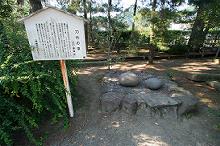 マウスクリックで拡大/縮小します